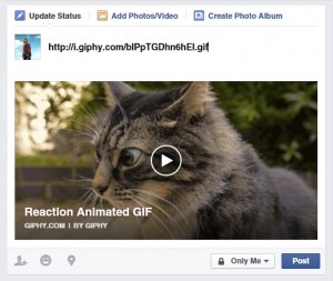 Posting A GIF To Facebook
