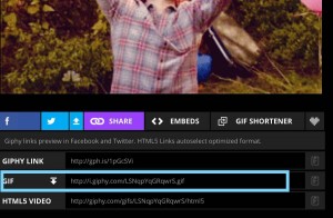 Giphy URL link